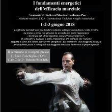 Seminario di Taiji Quan con il M. Gianfranco Pace: terzo appuntamento per noi!