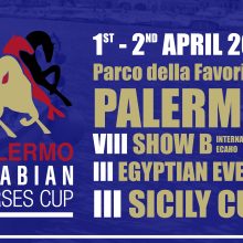 “Palermo Arabian Horses Cup”, la razza più blasonata dell’ippica si da appuntamento al Parco della Favorita