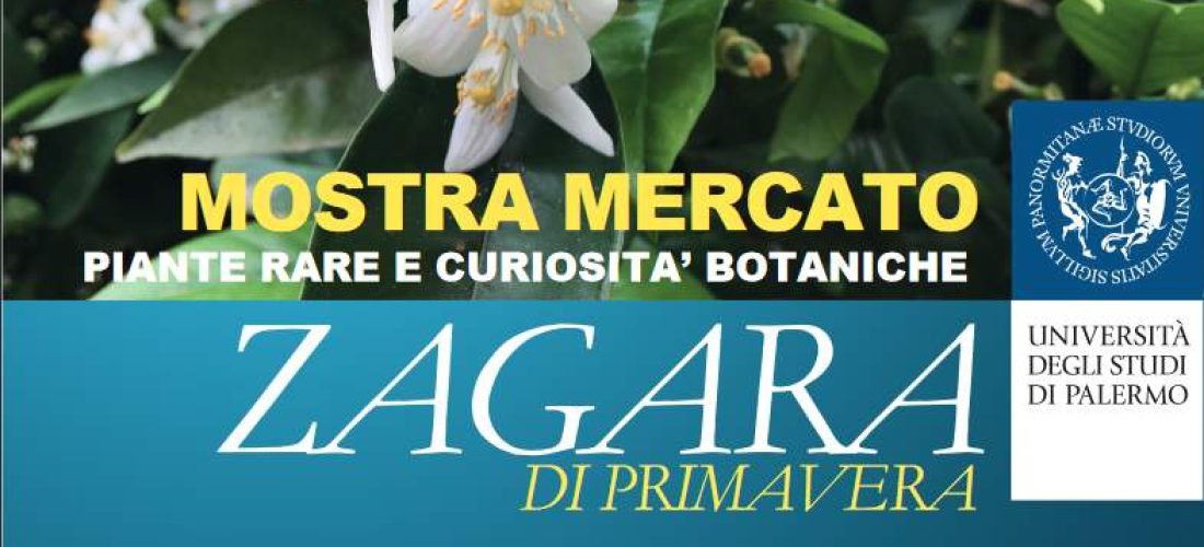 All’Orto Botanico la 14esima edizione de La Zagara di Primavera